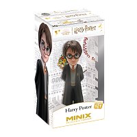 MINIX Movies: Harry Potter - Harry Potter (2. jakost)