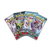 Pokémon TCG: Slashing Legends Tin (2. jakost)